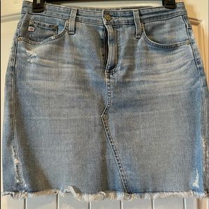 Denim Skirt from AG